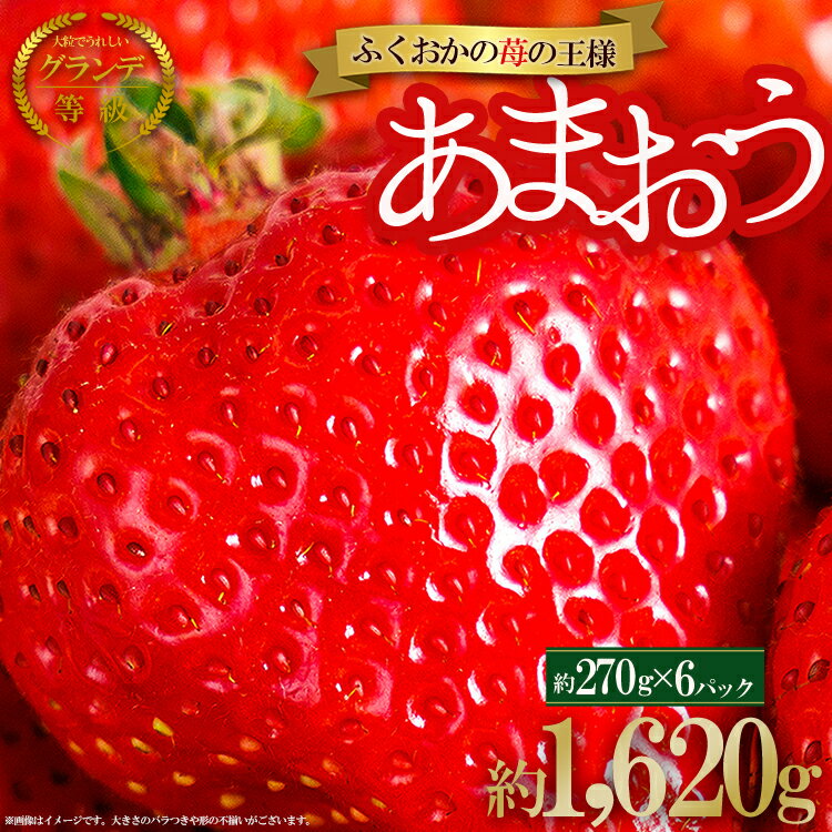 【ふるさと納税】【福岡県産 あまおう】 グランデ 等級 約270 g× 6 P いちご イチゴ 苺 博多 高級 デザート 果物 くだもの フルーツ ジャム にも ケーキ にも 先行予約 数量限定 福岡 2VB6のサムネイル
