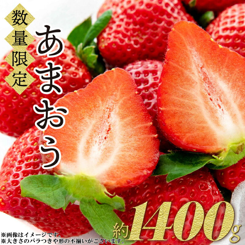 【ふるさと納税】 先行 予約 あまおう いちご 約 280g 5パック 数量限定 2S1