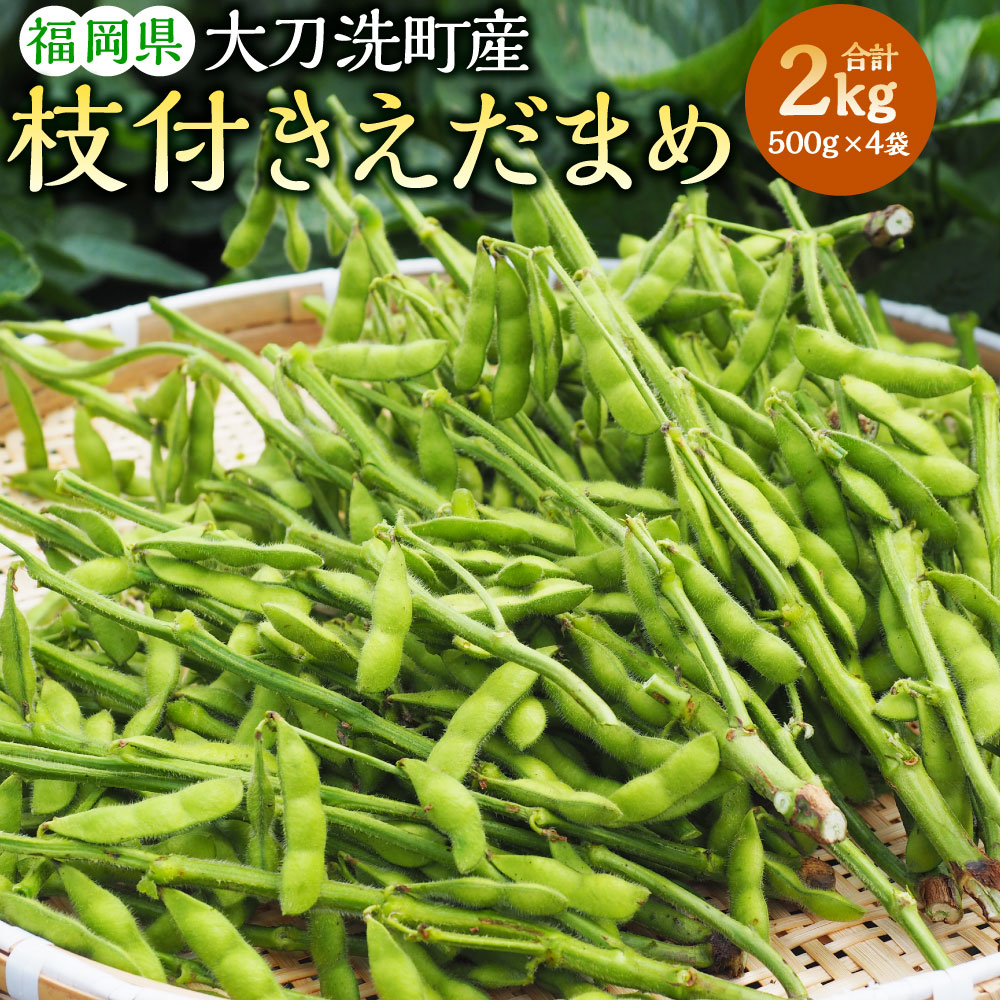 【ふるさと納税】枝付き枝豆 合計2kg 500g×4袋 ゆかた娘 枝豆 えだまめ 枝付き おつまみ 国産 九州産 福岡県産 大刀洗町産 冷蔵 送料無料 【2023年7月上旬より順次発送】