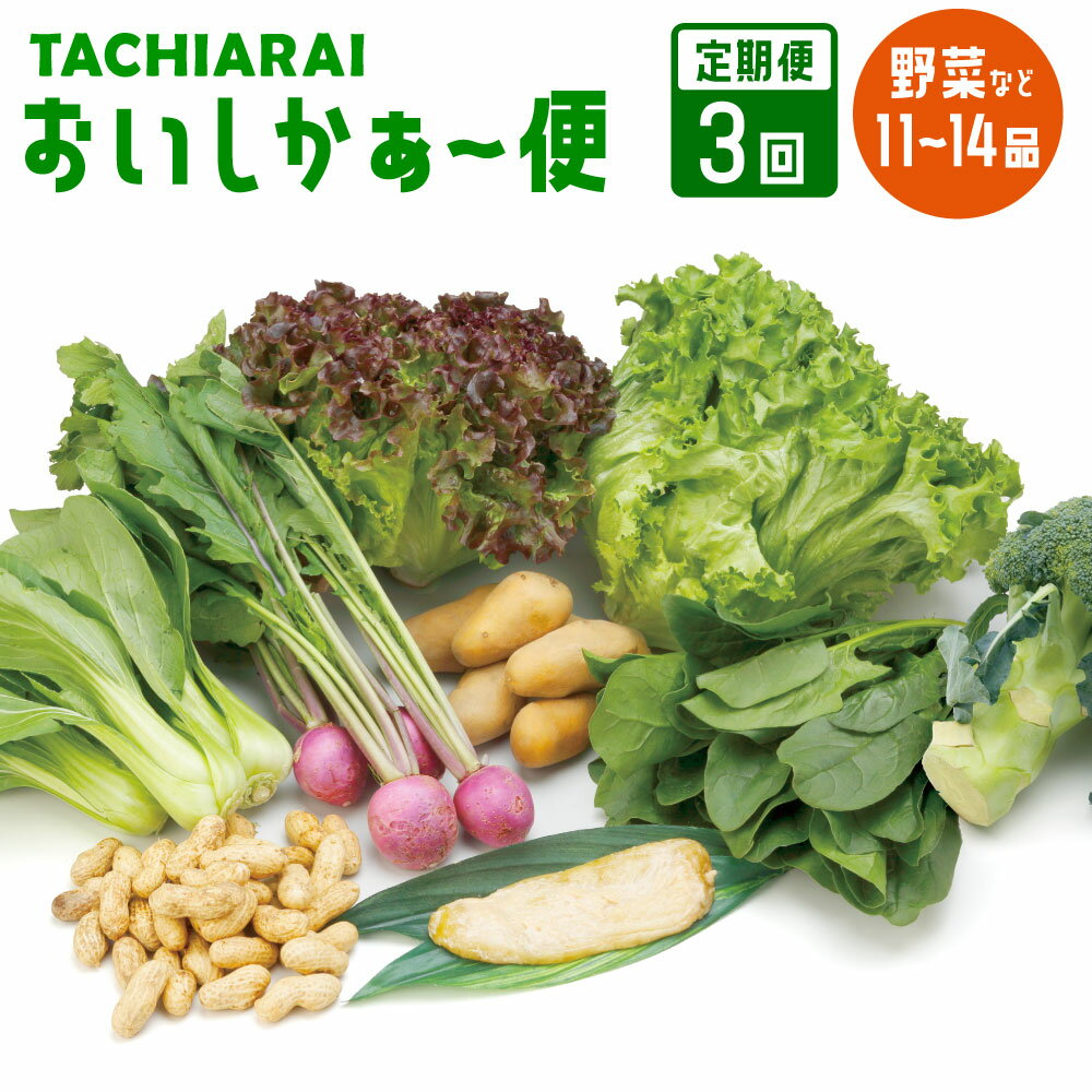 22位! 口コミ数「0件」評価「0」＜定期便3回＞ 「TACHIARAI」おいしかぁ～便 夢つくし2kg入 野菜 9～12品 漬け物 1品 だいこん うり 高菜漬け 梅干し 米･･･ 