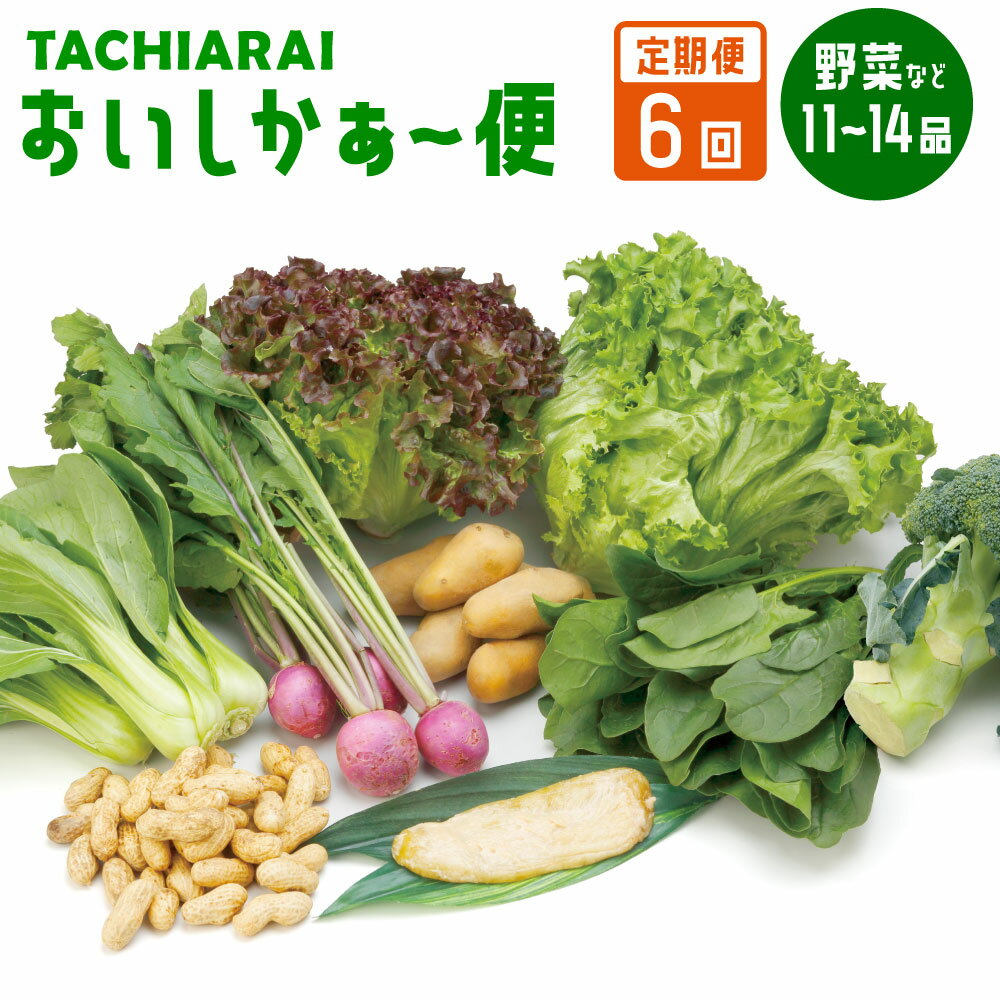 6位! 口コミ数「0件」評価「0」＜定期便6回＞ 「TACHIARAI」おいしかぁ～便 夢つくし2kg入 野菜 9～12品 漬け物 1品 だいこん うり 高菜漬け 梅干し 米･･･ 