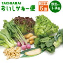 ＜定期便6回＞ 「TACHIARAI」おいしかぁ～便 夢つくし2kg入 野菜 9～12品 漬け物 1品 だいこん うり 高菜漬け 梅干し 米 夢つくし 2kg×1袋 おまかせ ランダム セット 旬 詰め合わせ 九州 福岡県 大刀洗町 送料無料