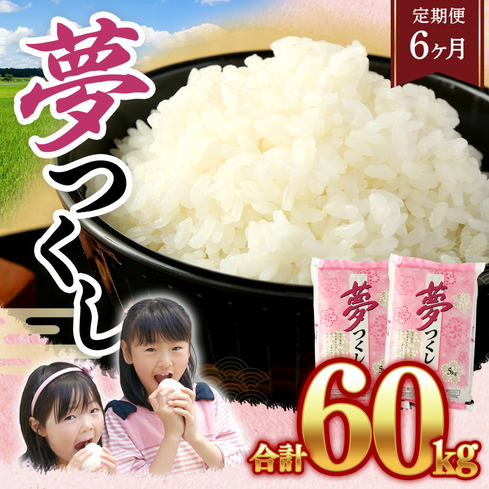 【ふるさと納税】【6回定期便】福岡県産 夢つくし 合計60kg 1回あたり 合計10kg (5kg×2袋) 普通精米 お米 白米 精米 国産 福岡県産 大刀洗町 送料無料