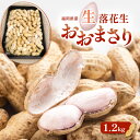 【ふるさと納税】落花生 福岡県産 生落花生 おおまさり 1.2kg ※配送不可:離島 お届け:2025年9月上旬~10月下旬まで