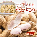 【ふるさと納税】落花生 福岡県産 生落花生 おおまさり 2.5kg ※配送不可:離島 お届け:2025年9月上旬~10月下旬まで
