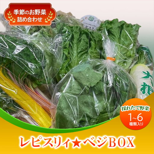 【ふるさと納税】野菜 セット レピスリィ★ベジBOX 季節のお野菜 1~6種類 詰め合わせ ※配送不可:北海道、沖縄、離島 【ふるさと納税】野菜 セット レピスリィ★ベジBOX 季節のお野菜 1~6種類 詰め合わせ ※配送不可:北海道、沖縄、離島