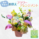 【ふるさと納税】定期便 12ヶ月 毎月お届け!御供アレンジメント フラワーアレンジメント 花 ギフト 12回 ※配送不可:沖縄、離島