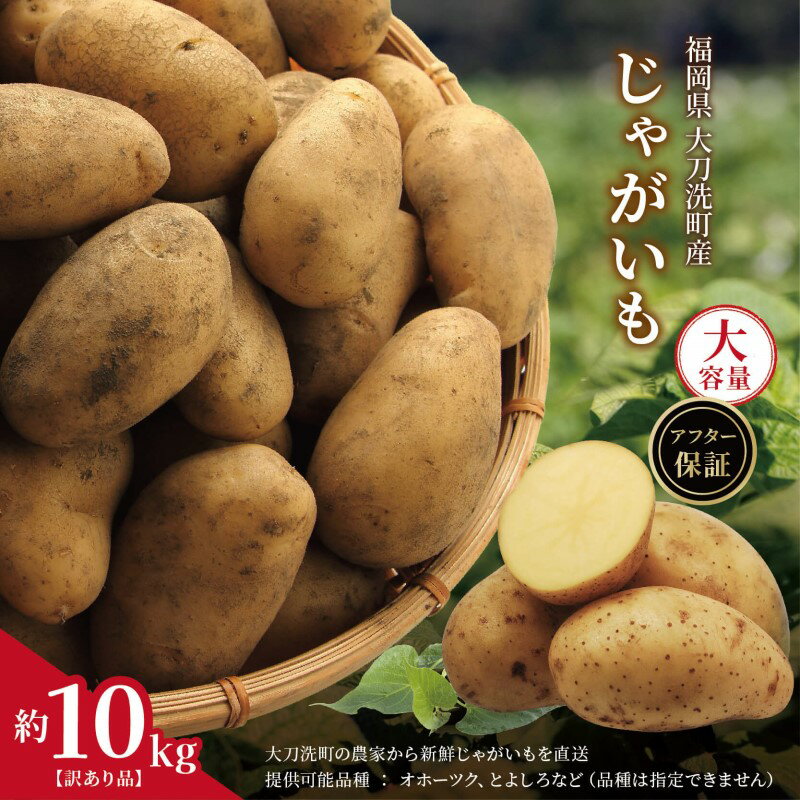 楽天市場】じゃがいも 10kgの通販 楽天市場】じゃがいも 10kgの通販