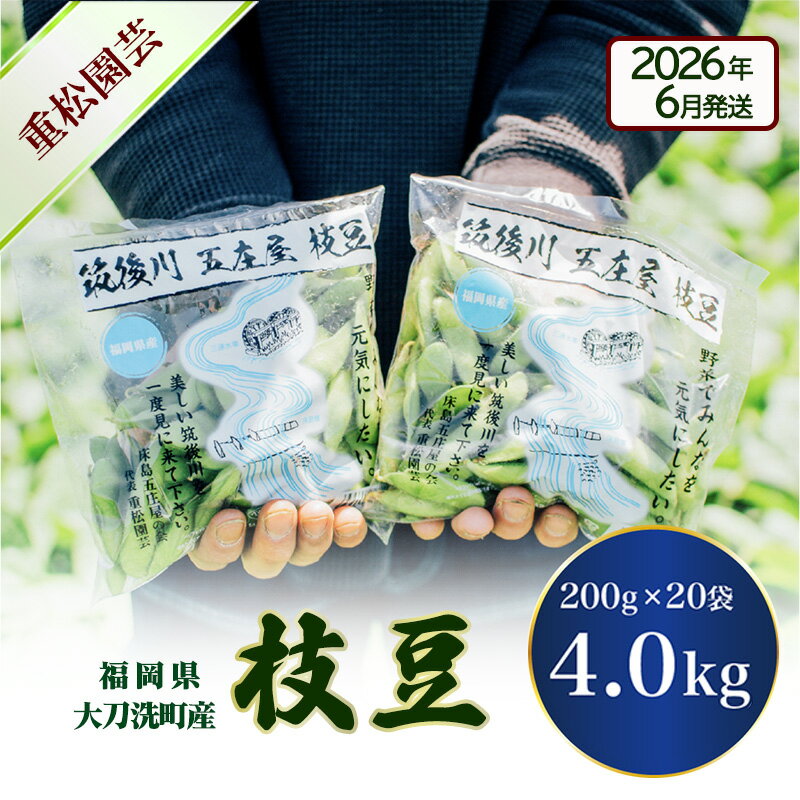 【ふるさと納税】枝豆 【2026年6月発送】枝豆200g×20袋 合計4kg 福岡県大刀洗町産 豆 えだまめ 焼き枝..