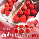 【ふるさと納税】【2026年3月上旬より発送開始】【予約受付・3回定期便】あまおう贅沢セットNo.2 ※配送不可:北海道・沖縄県・離島 お届け:2026年3月上旬~7月下旬|詳細画像