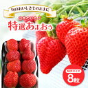 【ふるさと納税】いちご いちご職人直送 白木のいちご 特選 あまおう (特大サイズ) 8粒 イチゴ 苺 果物 デザート ※配送不可:沖縄・離島 お届け:2026年1月上旬~4月下旬