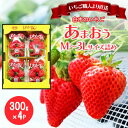 【ふるさと納税】いちご いちご職人 白木のいちご あまおう 300g×4パック詰め (M~3Lサイズ) イチゴ 苺 果物 デザート ※配送不可:沖縄・離島 お届け:2026年2月上旬~4月下旬まで