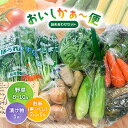 【ふるさと納税】おいしかぁ~便 詰め合わせセット