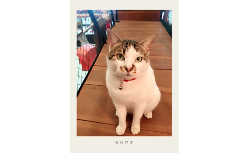 福岡県大刀洗町の画像3