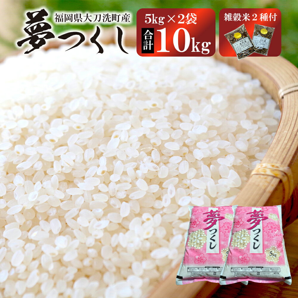 山田さん家のお米! 福岡県産 令和5年度 夢つくし 合計10kg(5kg×2袋) 雑穀米2種付 お米 白米 精米 国産 福岡県産 大刀洗町 送料無料