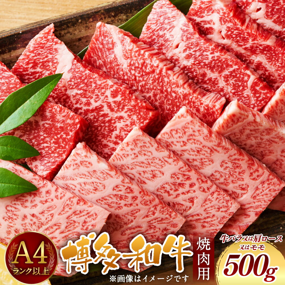 42位! 口コミ数「0件」評価「0」博多和牛 焼肉用 500g A4以上 福岡県産 九州産 国産 黒毛和牛 牛肉 和牛 BBQ バーベキュー お肉 お取り寄せ グルメ 冷凍 送･･･ 