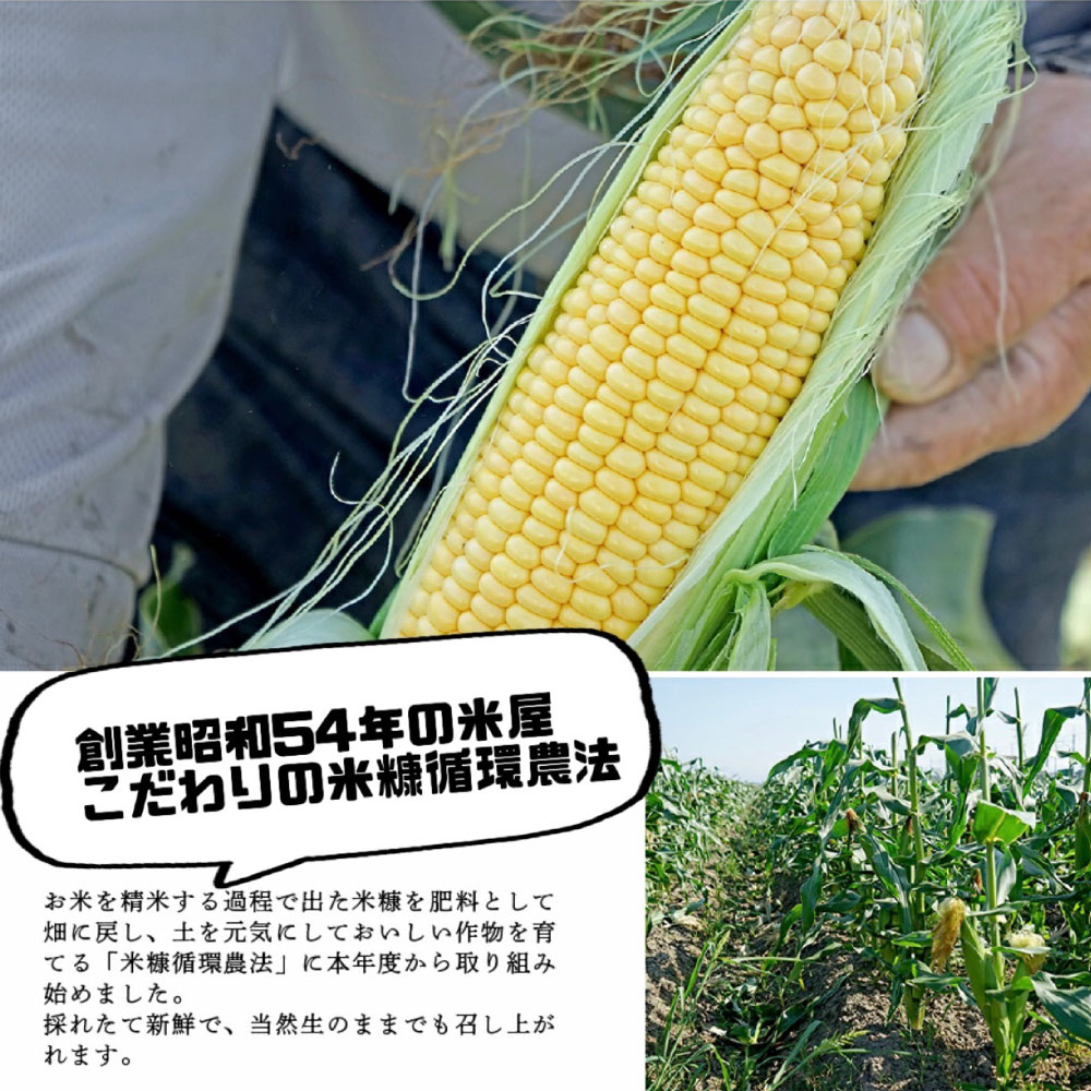 【ふるさと納税】福岡県産 ベビーコーン 50本 とうもろこし ヤングコーン おおもの 夏 野菜 旬 糖度20度 プレミアムコーン 産地直送 送料無料 3