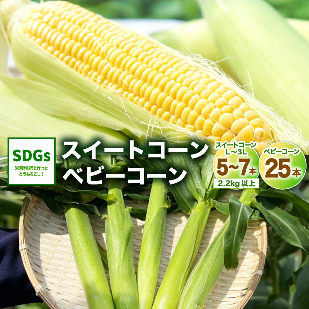 34位! 口コミ数「0件」評価「0」福岡県産 スイートコーン 5～7本 合計 2.2kg以上 ベビーコーン 25本 セット とうもろこし 博多あまっコーン おおもの 夏 野菜 ･･･ 