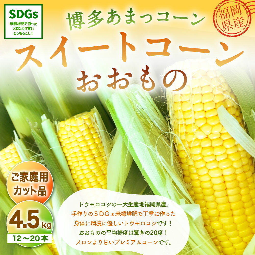 【ふるさと納税】ご家庭用 カット品 福岡県産 スイートコーン 博多あまっコーン とうもろこし おおもの 12本～20本 合計 4.5kg 夏 野菜 旬 糖度20度 プレミアムコーン 産地直送 送料無料 【2024年6月上旬より順次発送予定】