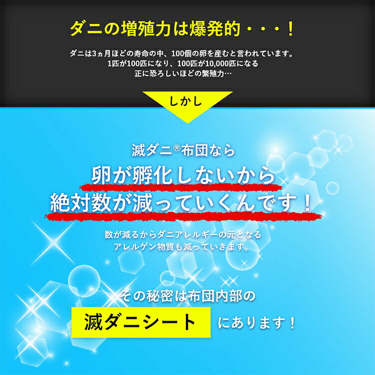 【ふるさと納税】掛布団 布団 シングル やがてダニがゼロになる滅ダニ掛布団 シングル150×210cm 寝具 福岡県 大木町 AA341
