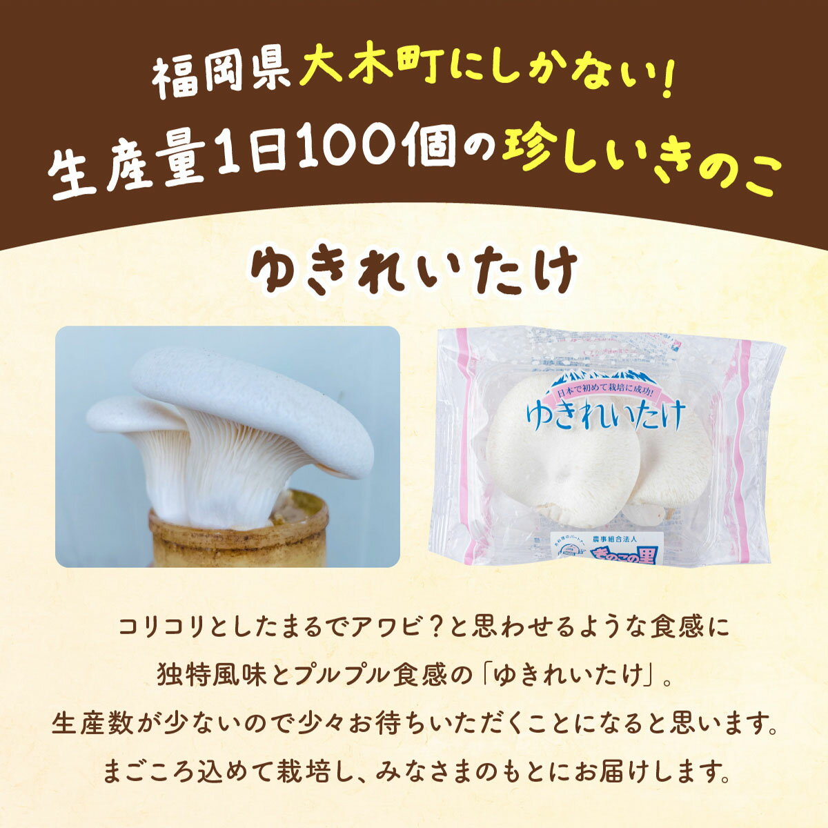 福岡県大木町の画像2