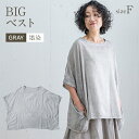 【ふるさと納税】BIGベスト GRAY(墨染) シャツ トップス フリーサイズ 綿100% 手染め グレー ねずみ色 春夏 5分袖 レディース おしゃれ おすすめ 福岡県 大木町 AO114