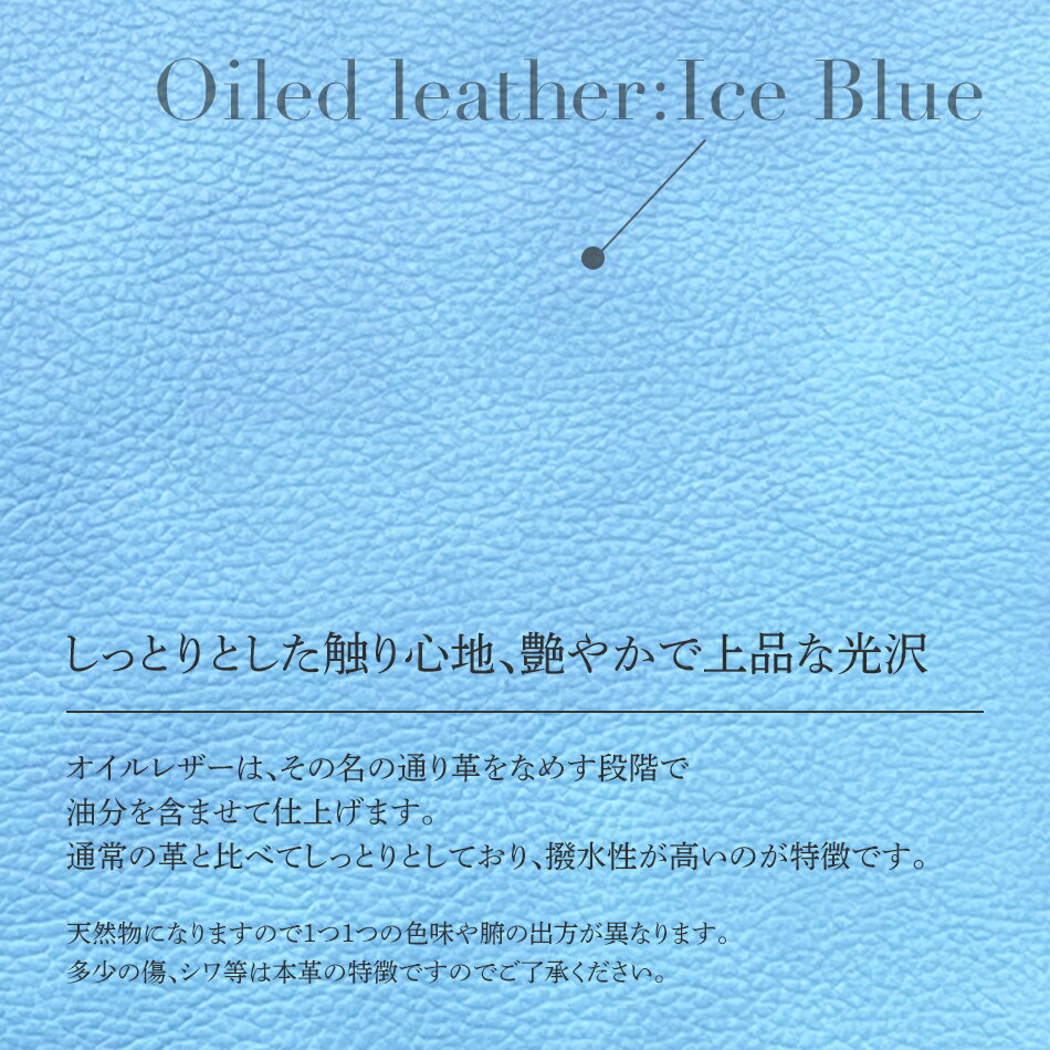 【ふるさと納税】 ビーゴ （ トートバッグ ）（ 牛革 ・ アイスブルー ） A4 収納 ファスナー 底鋲 おしゃれ おすすめ 福岡県 大木町 ナデルファーデン BK045