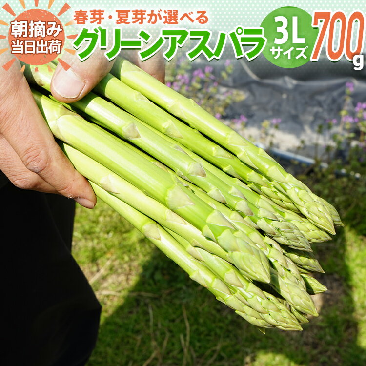 4位! 口コミ数「1件」評価「4」先行予約 数量限定 アスパラ 3Lサイズ 700g 朝採り 直送 選べる 春芽 夏芽 グリーンアスパラガス 朝採れ BT01 BT05