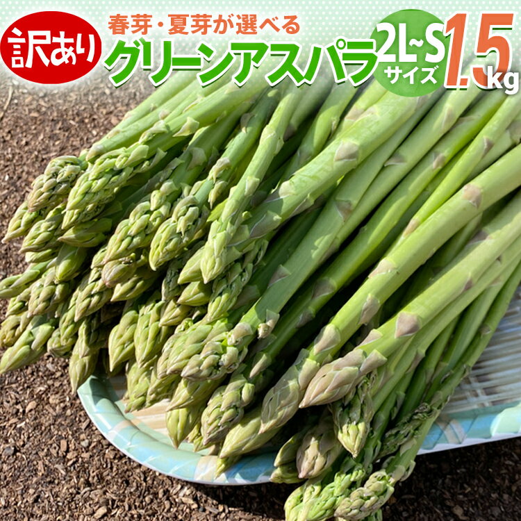 ڤդ뤵Ǽǡ٤ ͽ ̸  ʳ ѥ 2LS 1.5kg īΤ ľ ٤ ղ Ʋ ꡼󥢥ѥ饬 īΤ BT04 BT08