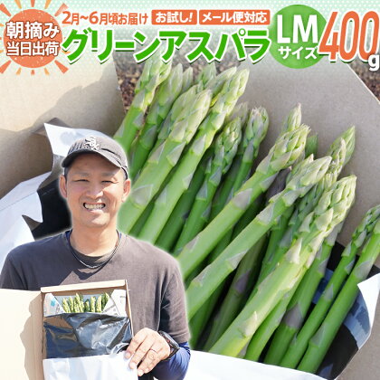 お試し 予約 数量限定 アスパラ LMサイズ 400g 朝採り 直送 グリーンアスパラガス 朝採れ ポスト投函 ネコポス【2月から6月お届け】夏季配送不可 おためし BT12