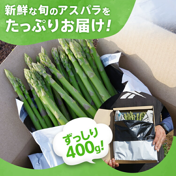 【ふるさと納税】お試し 予約 数量限定 アスパラ LMサイズ 400g 朝採り 直送 グリーンアスパラガス 朝採れ ポスト投函 ネコポス【2月から6月お届け】夏季配送不可 おためし BT12