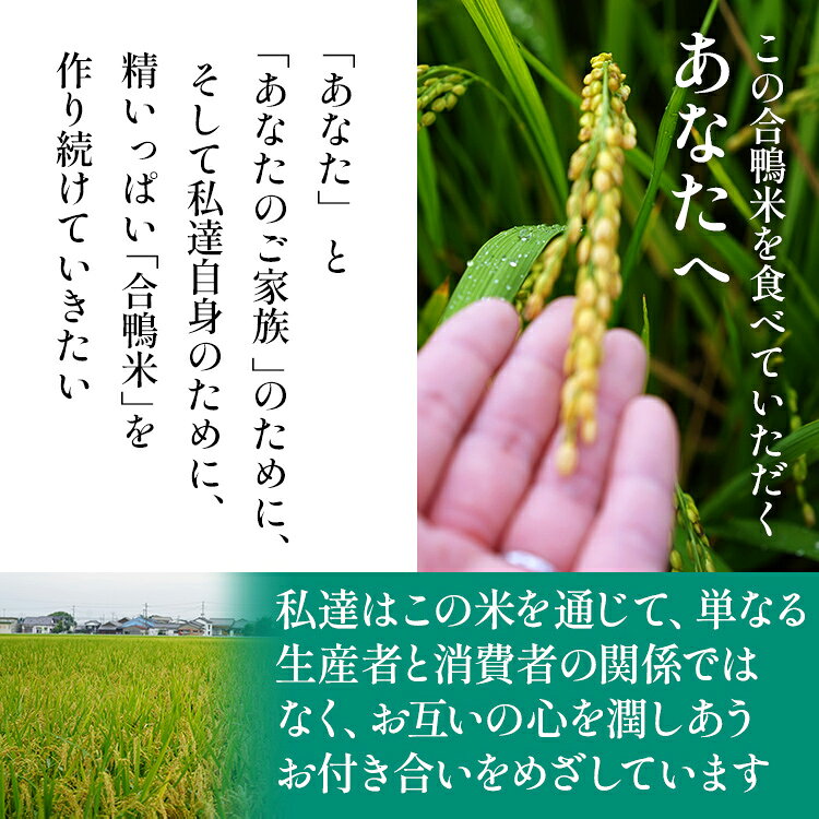 【ふるさと納税】【先行予約】 令和8年産 合鴨米「ヒノヒカリ」（玄米・10kg） BI20 f405221-oki-10003461 福岡県大木町 サンプル画像3