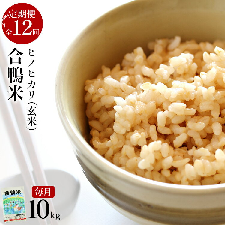 ڤդ뤵Ǽǡ7ǯ ͽ ơ֥ҥΥҥסʸơ10kg12󥳡 ̸ 7ǯ10Ȥ ...