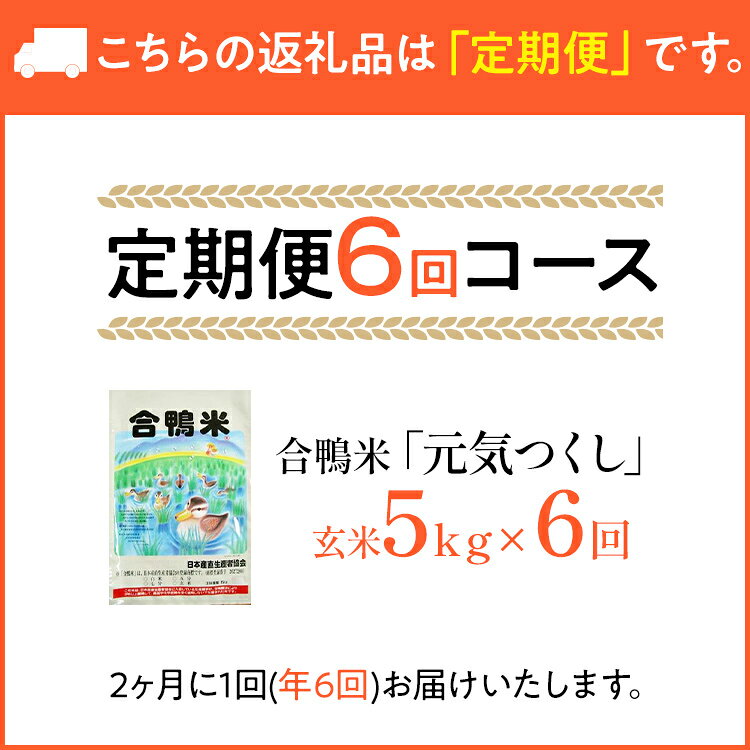 【ふるさと納税】《先行予約》令和8年産 合鴨米「元気つくし」（玄米・5kg）定期便6回コース 数量限定 ※令和8年10月スタートの定期便 新米 BI10