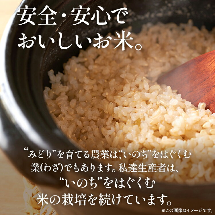【ふるさと納税】《先行予約》令和8年産 合鴨米「元気つくし」（玄米・5kg）定期便6回コース 数量限定 ※令和8年10月スタートの定期便 新米 BI10 f405221-oki-10002342 福岡県大木町 サンプル画像3