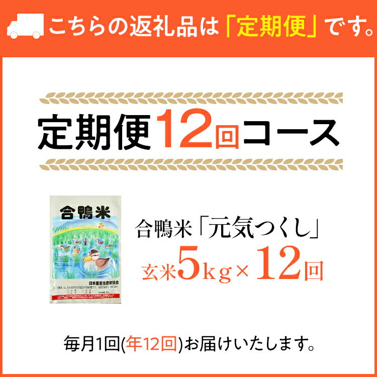 【ふるさと納税】令和8年産 合鴨米「元気つくし」（玄米・5kg）定期便12回コース　数量限定 ※令和8年10月スタートの定期便 BI11