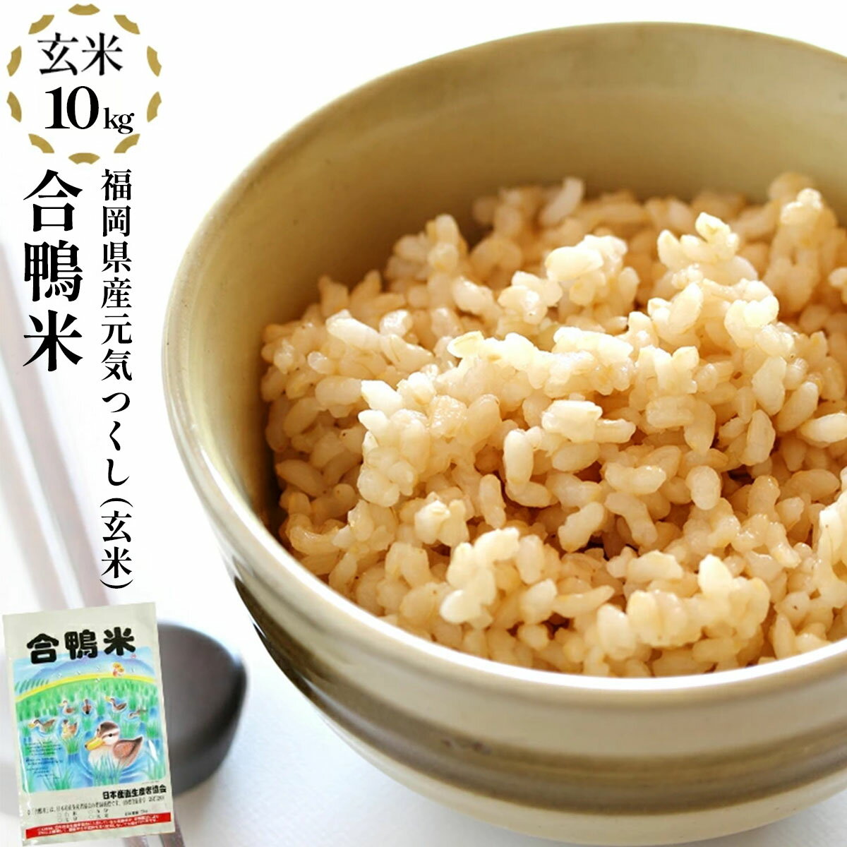【ふるさと納税】【先行予約】 令和8年産 合鴨米「元気つくし」（玄米・10kg）数量限定 BI21