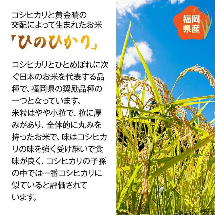 【ふるさと納税】【令和7年産】福岡県 大木町産 ひのひかり 5〜10kg