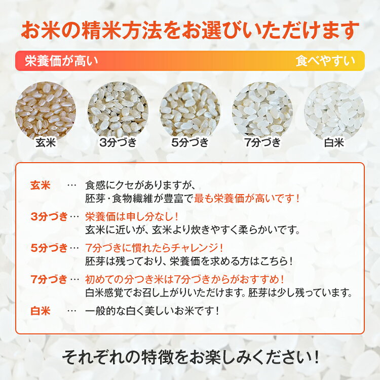 【ふるさと納税】【令和7年産】福岡県 大木町産 ひのひかり 5〜10kg f405221-oki-10002355 福岡県大木町 サンプル画像3