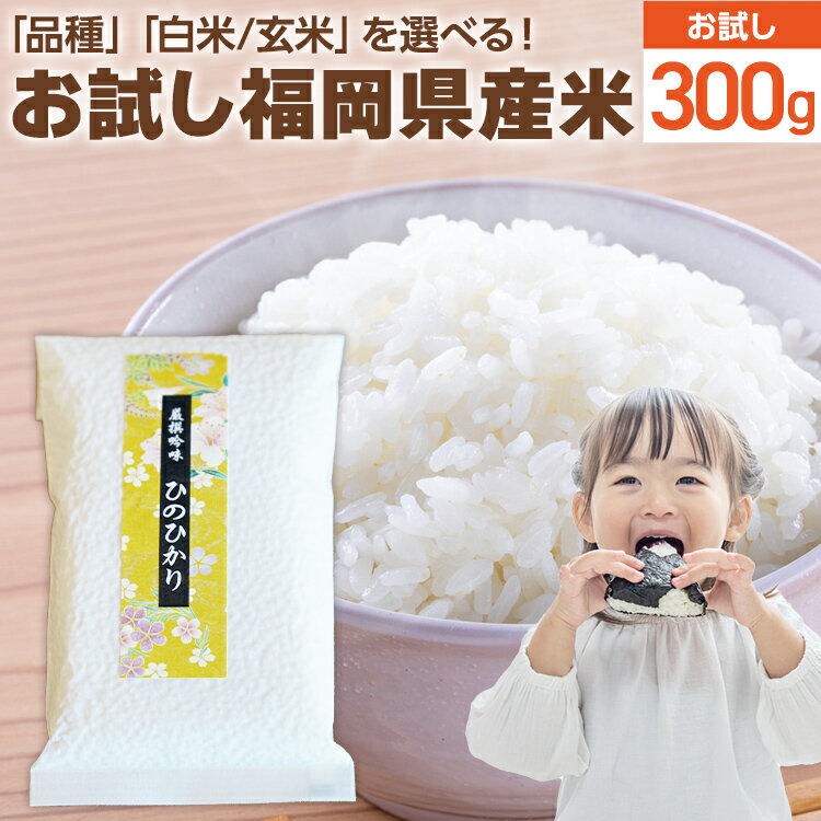 3位! 口コミ数「0件」評価「0」【令和5年度米】福岡県 大木町産のお米 白米と玄米選択可能 ヒノヒカリ 元気つくし 夢つくし 真空パック お試し2合 300g 1500 1･･･ 