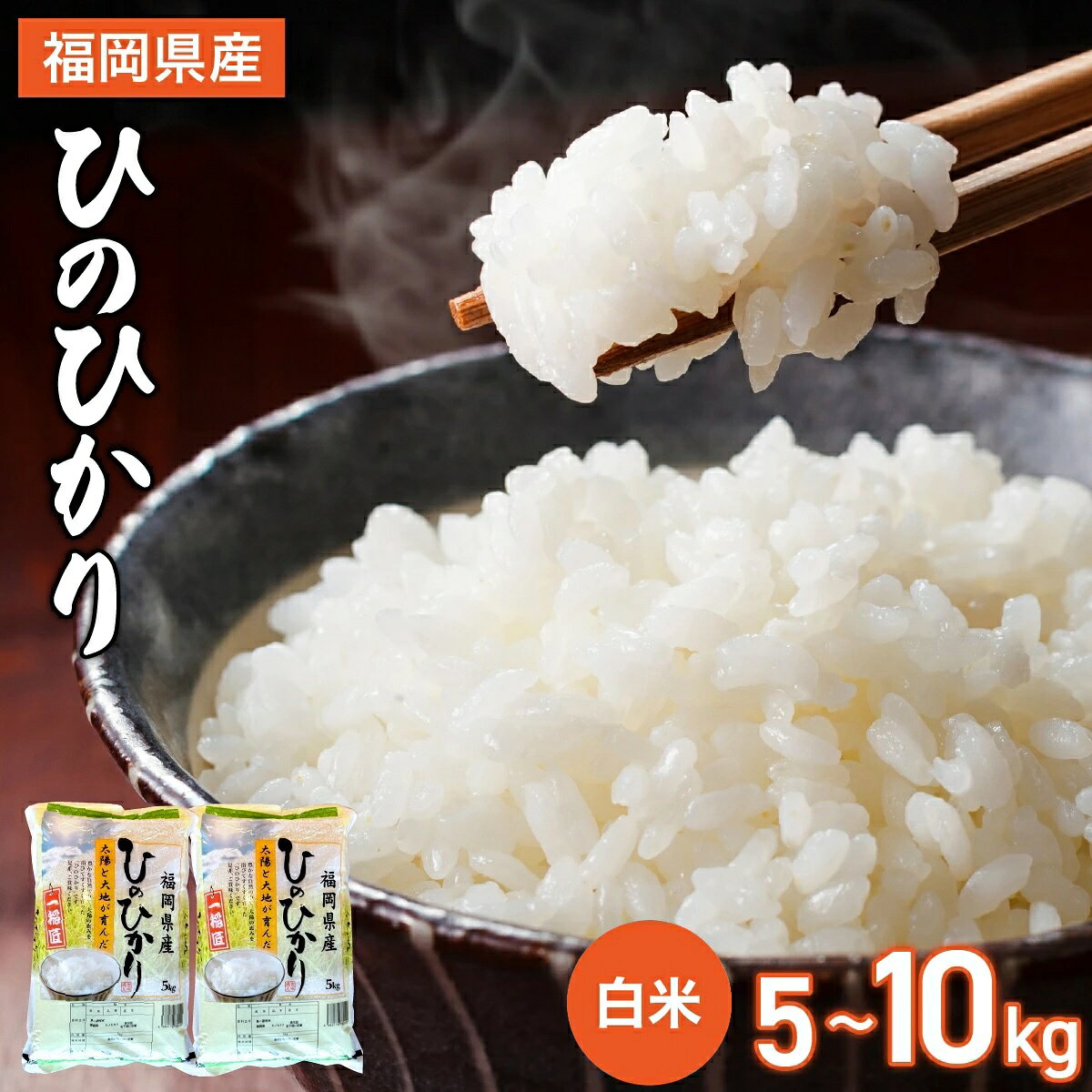 [令和7年産]福岡県 大木町産 ひのひかり 5〜10kg