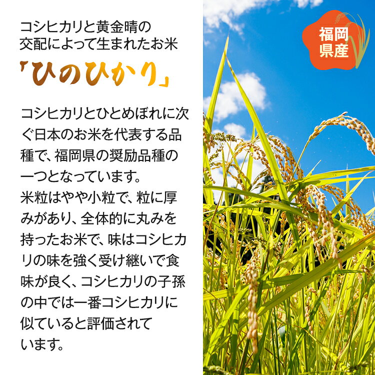 【ふるさと納税】【令和7年産】 福岡県 大木町産 ヒノヒカリ 20kg　BC04 f405221-oki-10002358 福岡県大木町 サンプル画像2