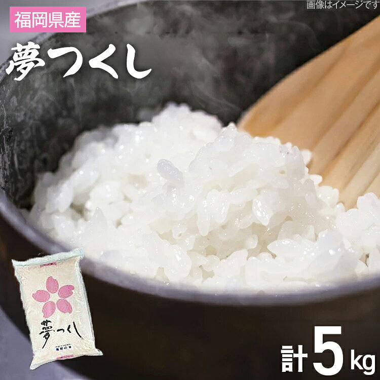 【ふるさと納税】【令和7年産】 福岡県 大木町産 夢つくし 5kg　BC03-2