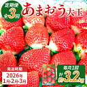 【ふるさと納税】【3回定期便】 期間限定 いちご あまおう 苺 イチゴ 3.2kg あまおう(大玉)、4パック×3回(1月、2月、3月)定期便 【2026年1月...