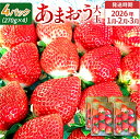 【ふるさと納税】期間限定 いちご あまおう 苺 イチゴ 1kg あまおう(大玉)、4パック(270g/パック) 【2026年1月~3月順次発送】 フルーツ 果物 くだもの 大玉 ※北海道・沖縄・離島は配送不可 大木町産 おおきベリー CT004