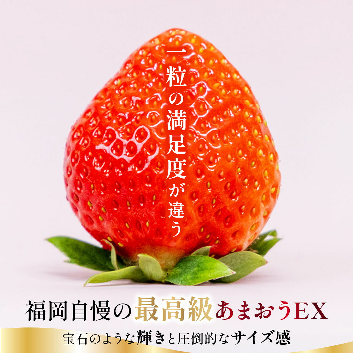 【ふるさと納税】【先行予約】博多あまおうEX 2パック（約450g×2パック）化粧箱入り【AG014】| いちご 苺 フルーツ 福岡県産 あまい 大粒 季節限定 ギフト プレゼント 贈り物 フルーツギフト 誕生日 果物 高級 手土産 箱 デラックス お中元