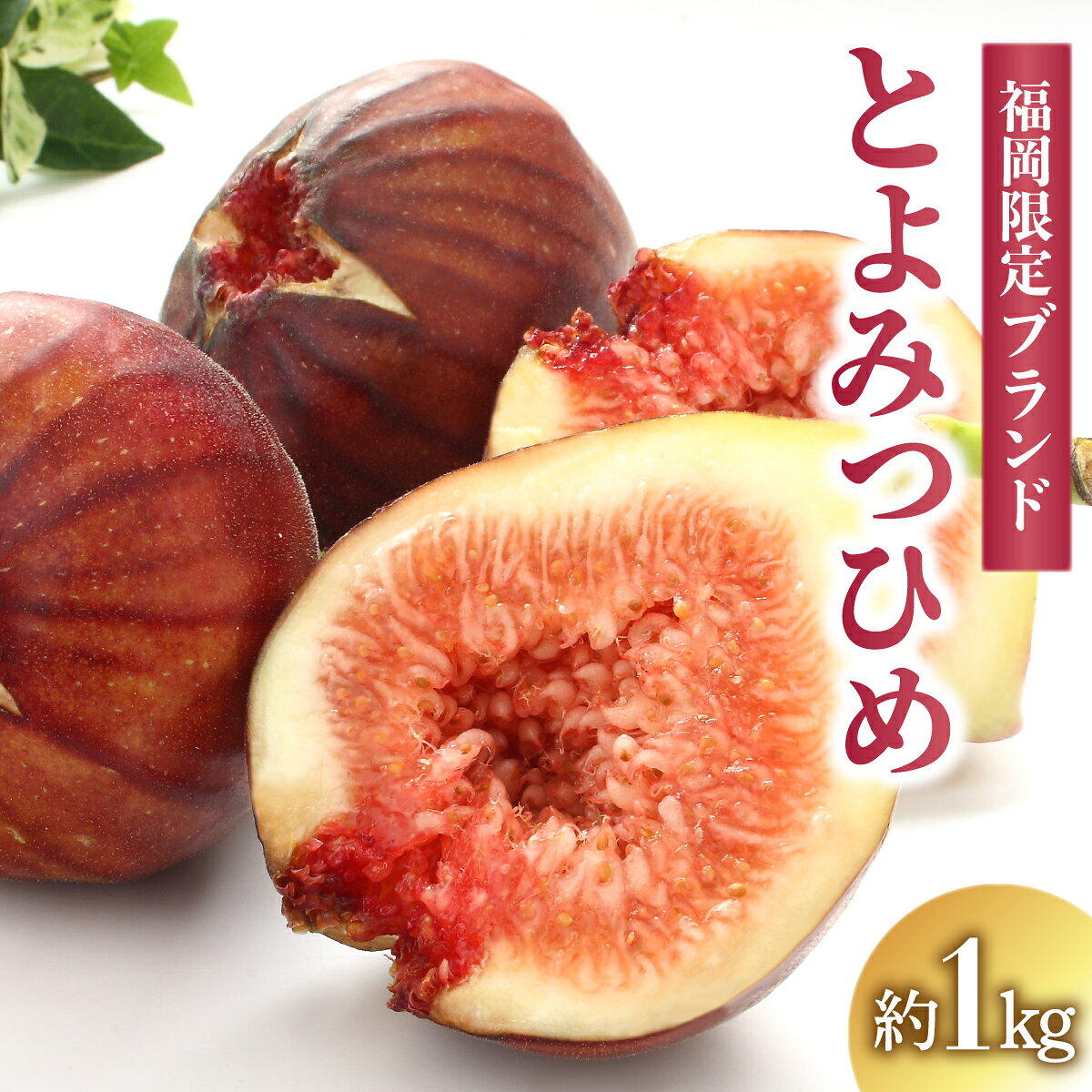 【ふるさと納税】いちじく【博多とよみつひめ】　約1.0kg　（2027年8月中旬～10月上旬発送）｜フルーツ 果物 イチジク 無花果 先行予約 福岡県 大木町