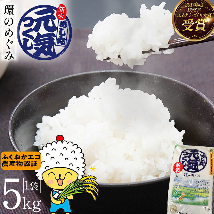 【ふるさと納税】令和6年度米 特別栽培米「環のめぐみ」　精米5kg おすすめ 福岡県 大木町 AI001のサムネイル