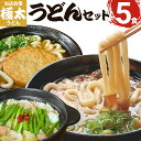 【ふるさと納税】うどん 極太 極太麺 3種うどんセット 食べ