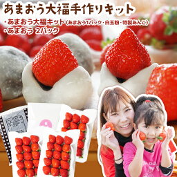 【ふるさと納税】あまおう大福 手作りキット 大福 和菓子 キッド セット 【2024年1月～4月にかけて順次出荷予定】餡子 あん お菓子 手作り 苺 いちご 福岡県 大木町 池上農園 BD03